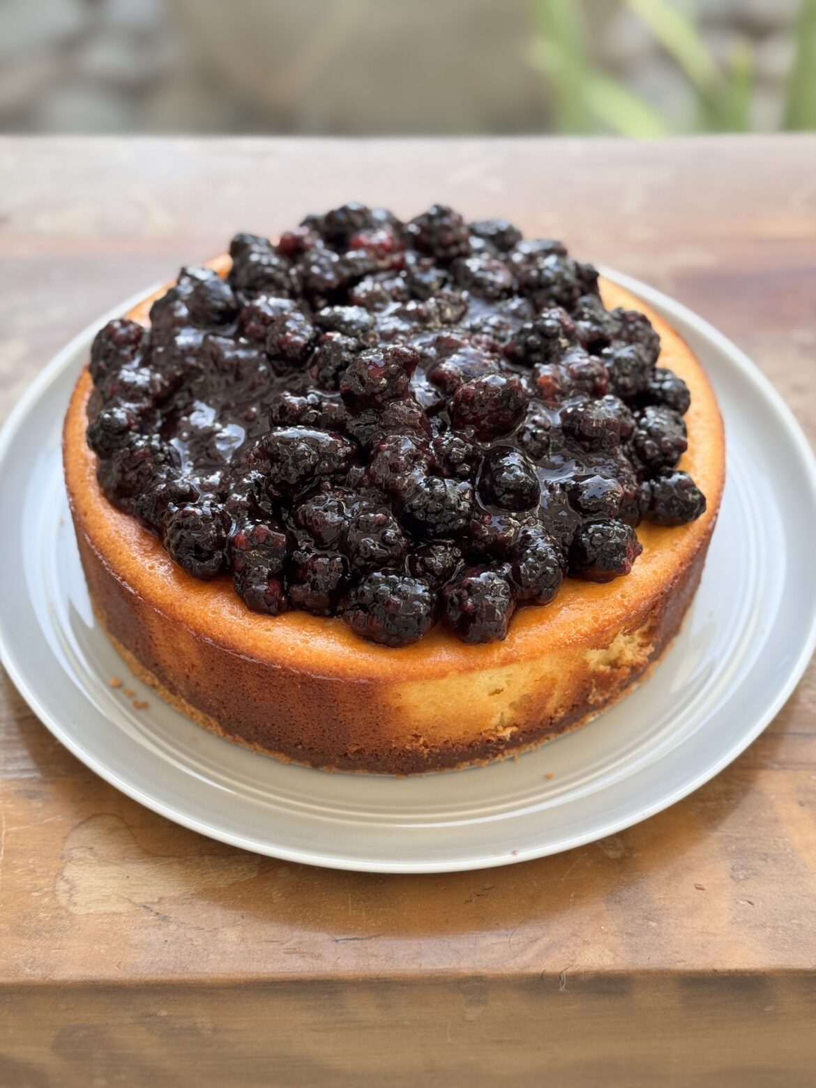 cheescakedemora_50 (1)